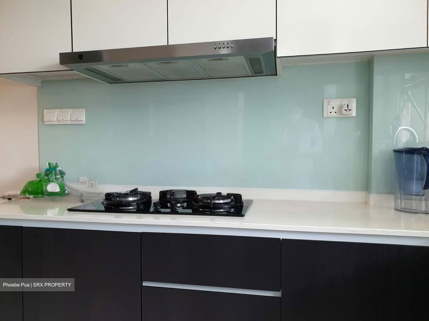 Hillington Green (D23), Condominium #563349671